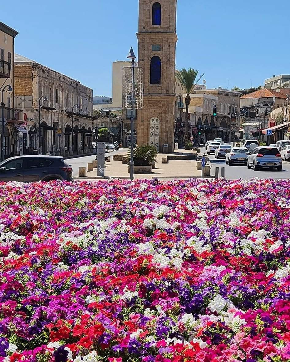 ���� ������